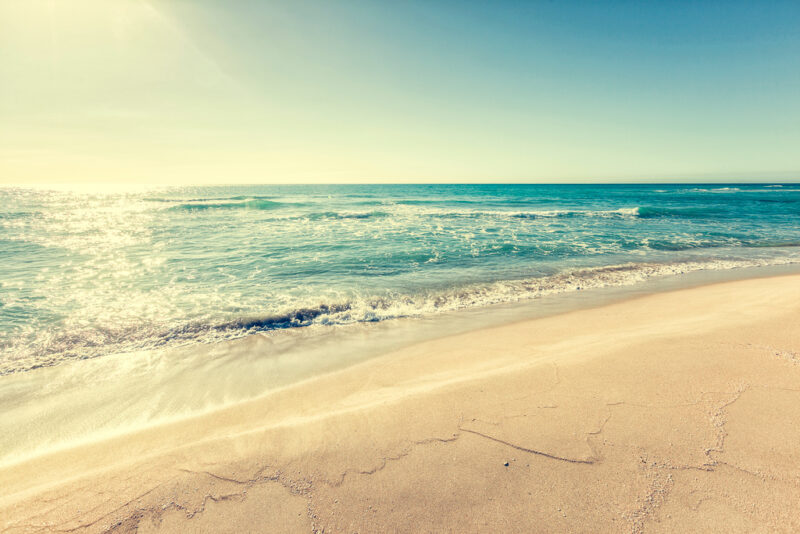 6 Ways You Can Help Reduce Ocean Pollution - Rubio's Site